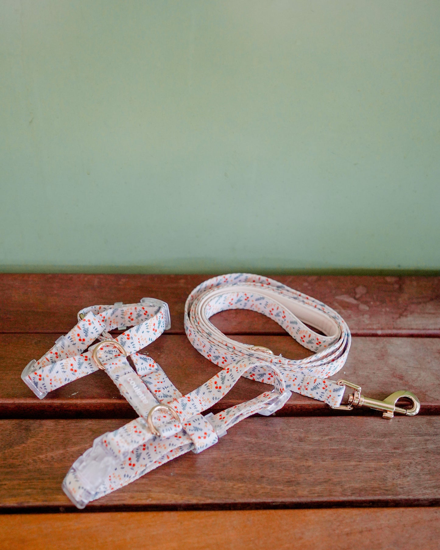 Coulette Collective - New Beginnings H-Harness