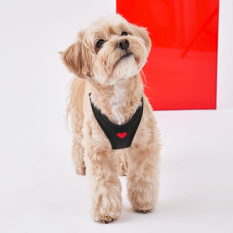 Puppy Gallery Weatherproof Heart Harness