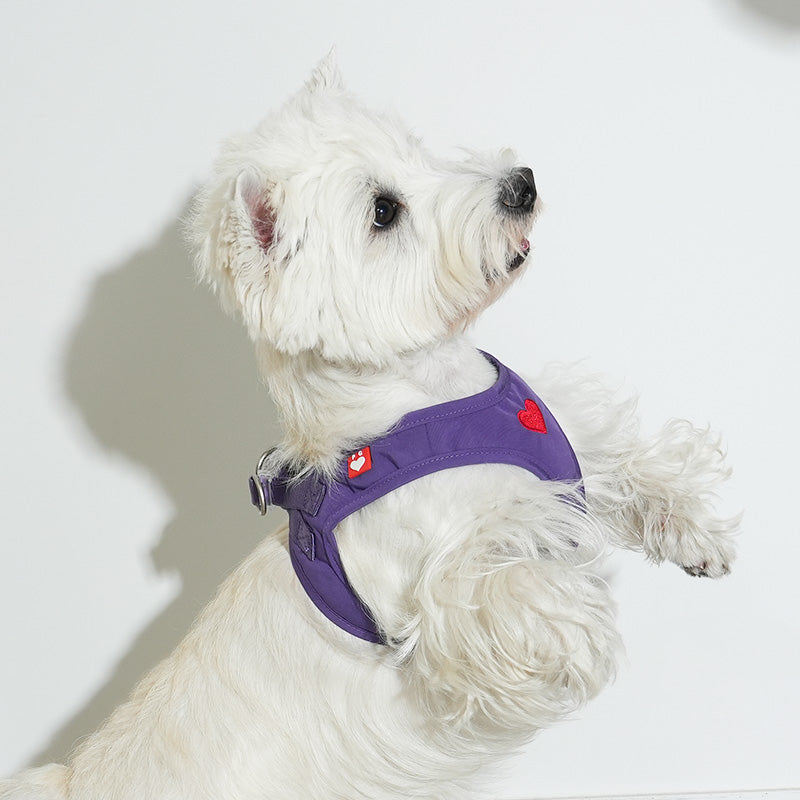 Puppy Gallery Weatherproof Heart Harness