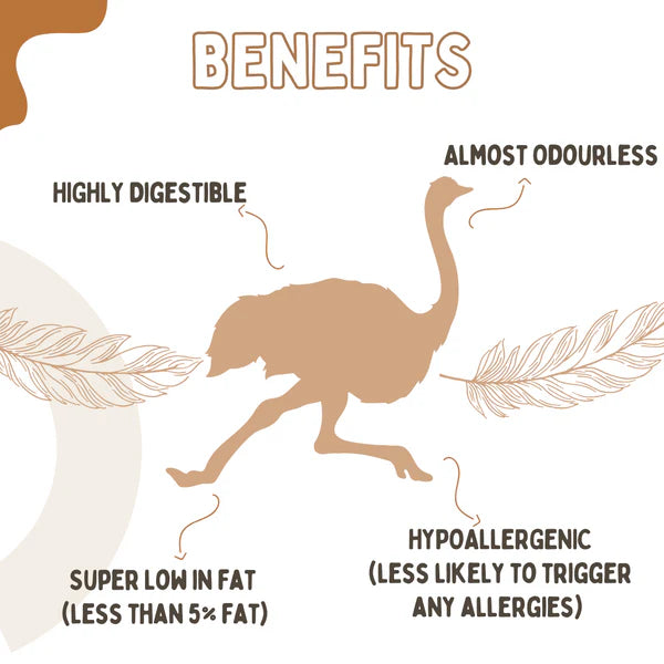 The Source-sage Club Air Dried Ostrich Meat Jerky 8 sticks (~80g)