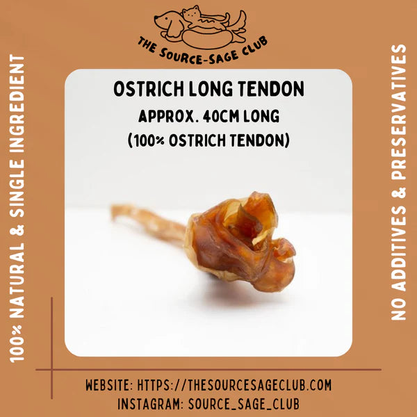 The Source-sage Club Air Dried Ostrich Long Tendon 1pc (~40cm)
