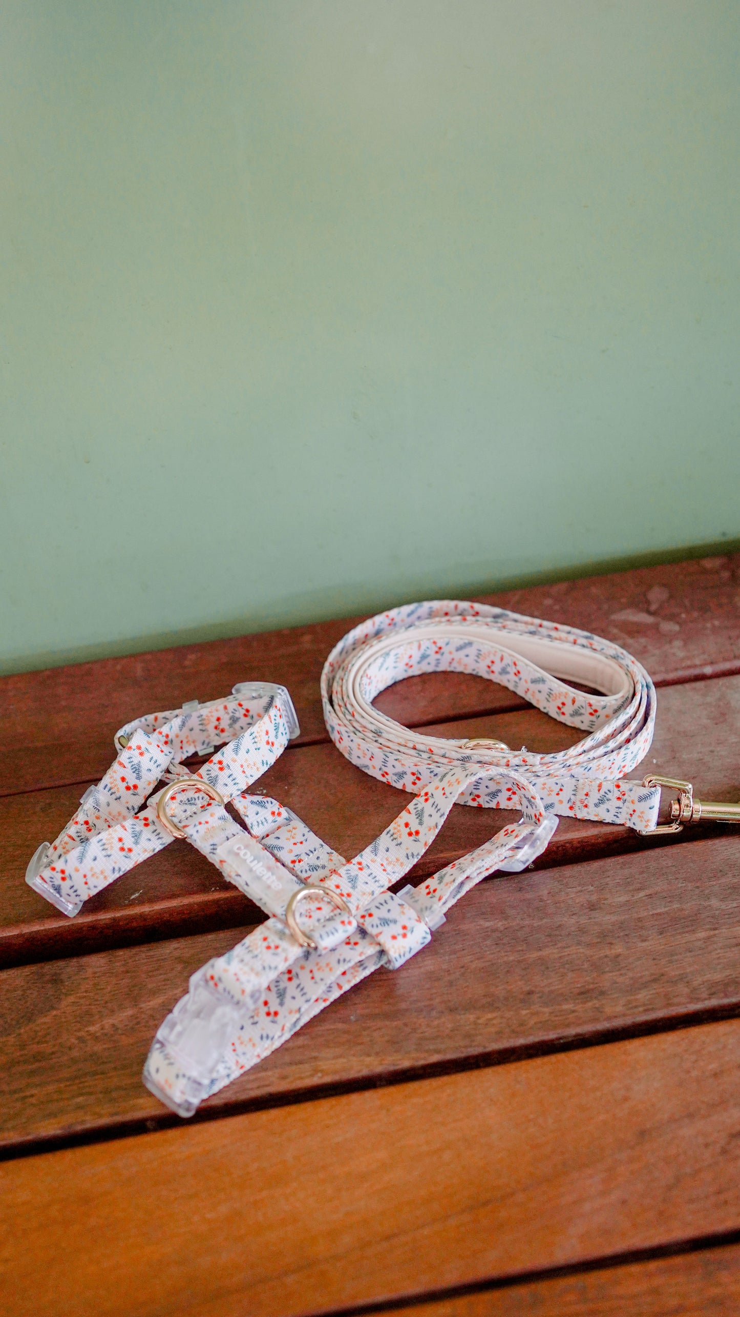 Coulette Collective - New Beginnings Leash