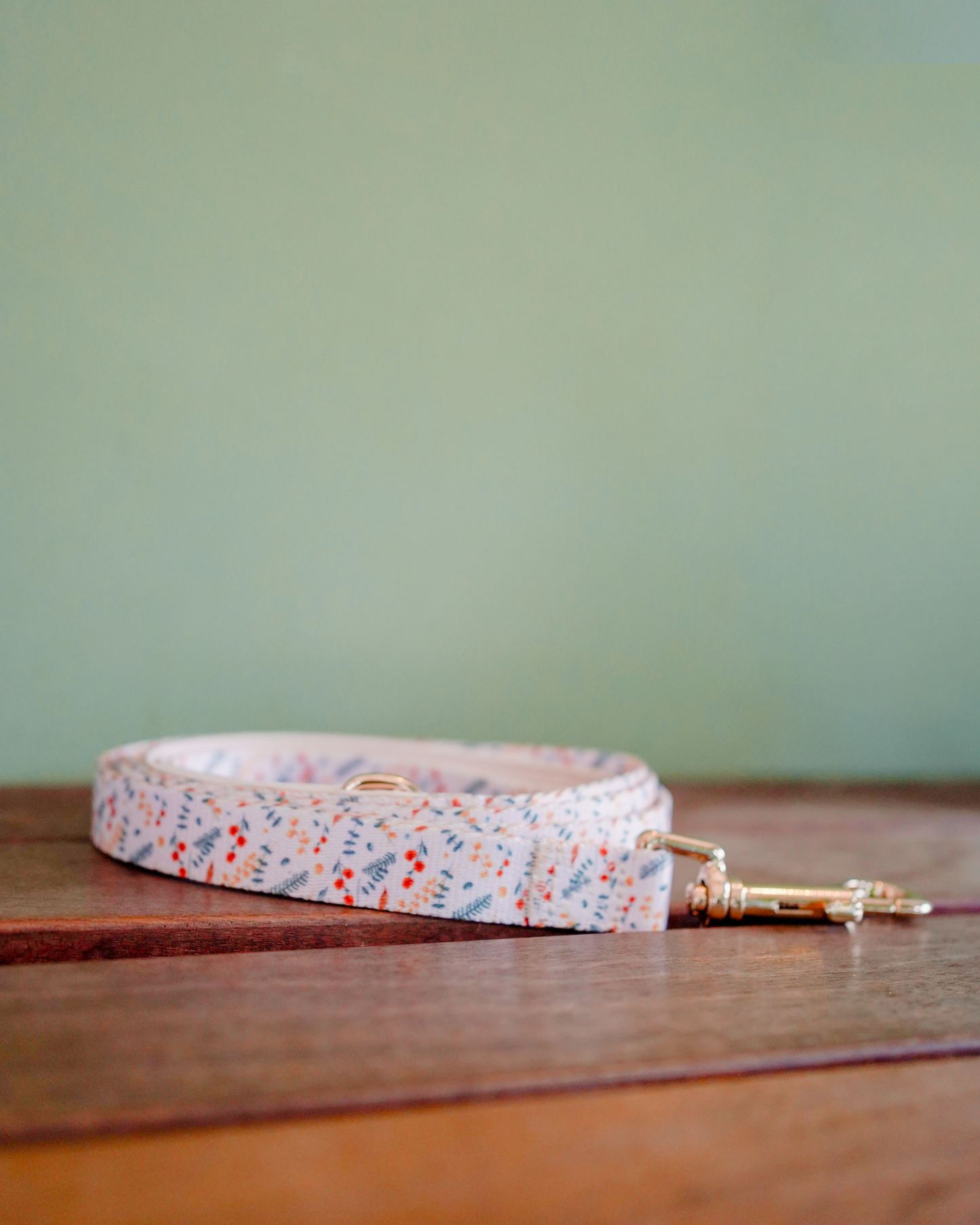 Coulette Collective - New Beginnings Leash