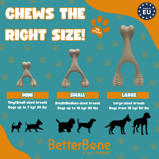 Pawvy Betterbone Beef Chew Toy