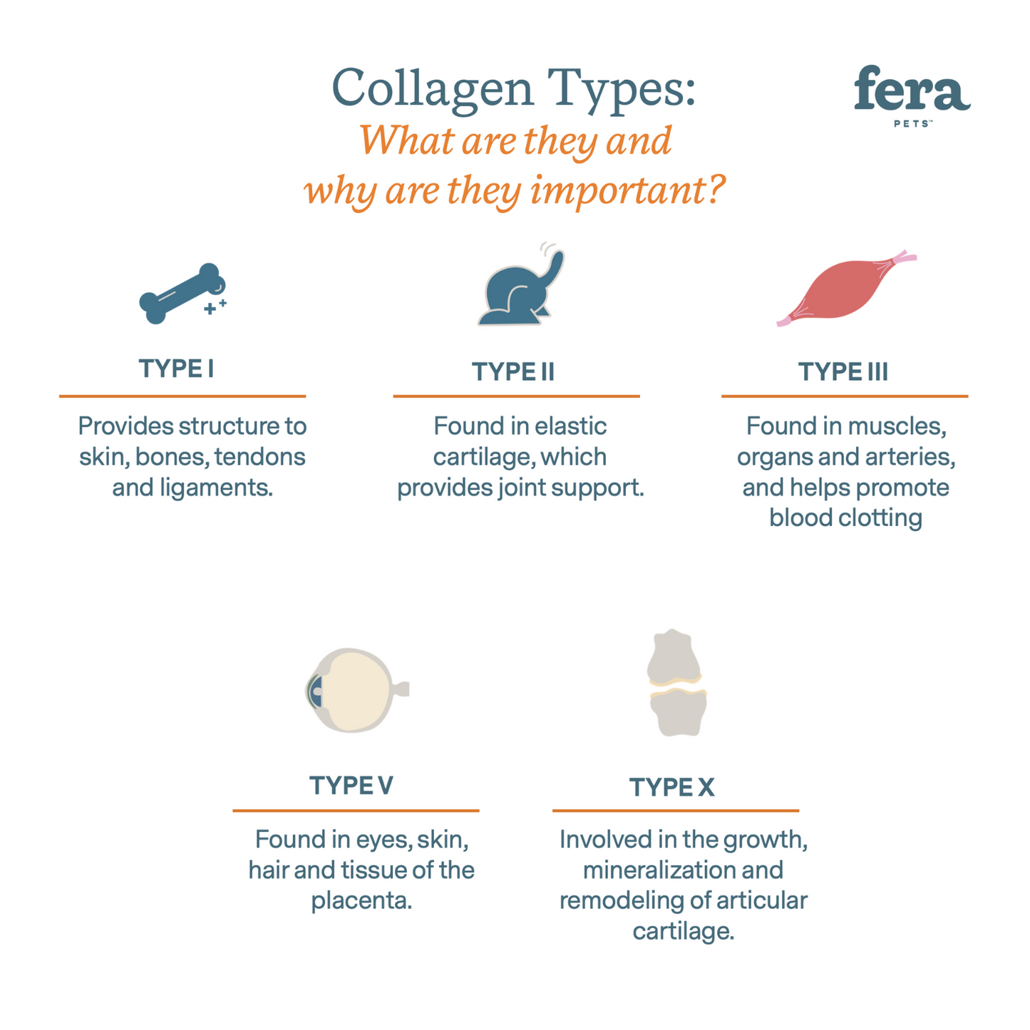 Fera Pets Collagen Plus