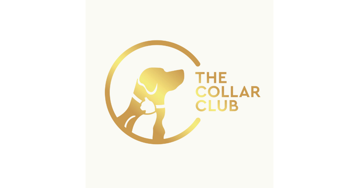 Cage Free Daycare / Play Date The Collar Club