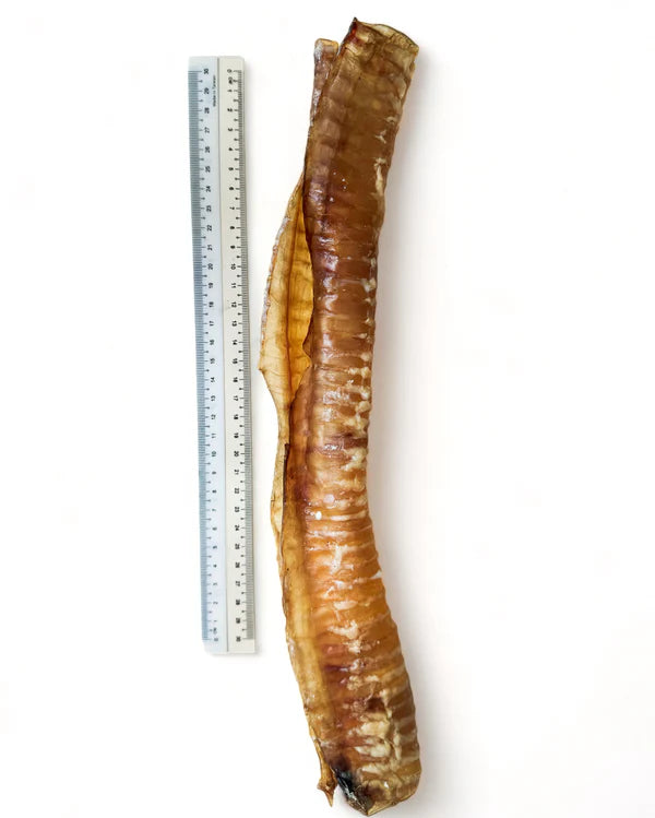 The Source-sage Club Air Dried New Zealand Beef Trachea (Windpipe) 1pc ~30cm