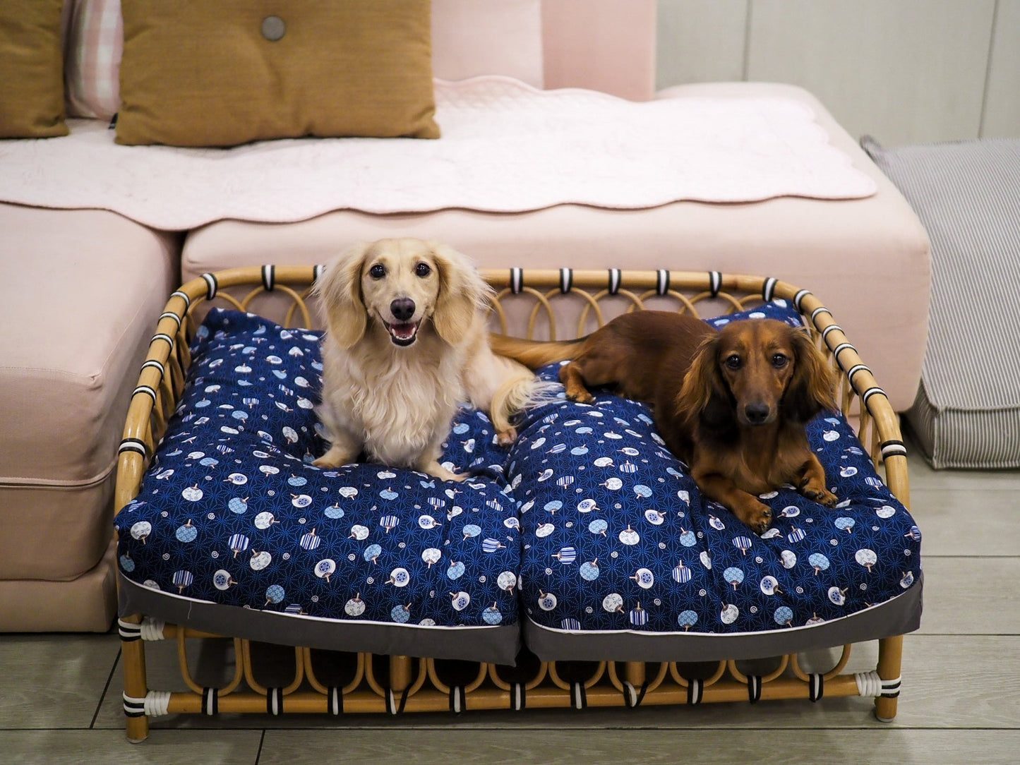 DreamCastle Cooling Dog Bed | For puppies to medium sized breed | Modern Cheongsam