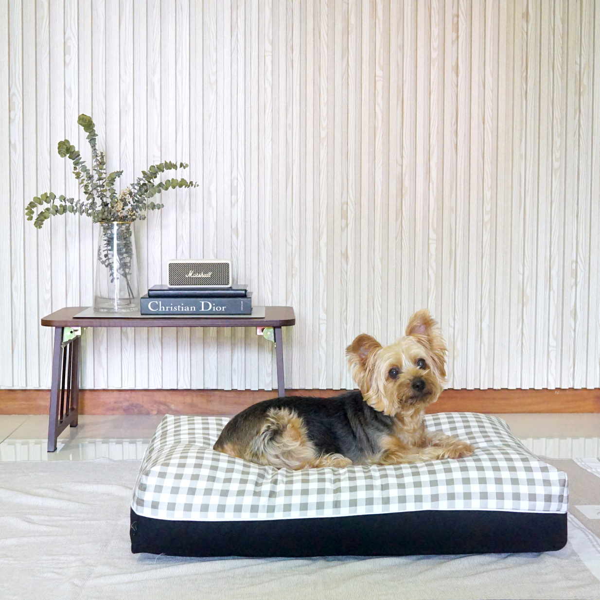 Marshalle Korean cooling dog bed singapore