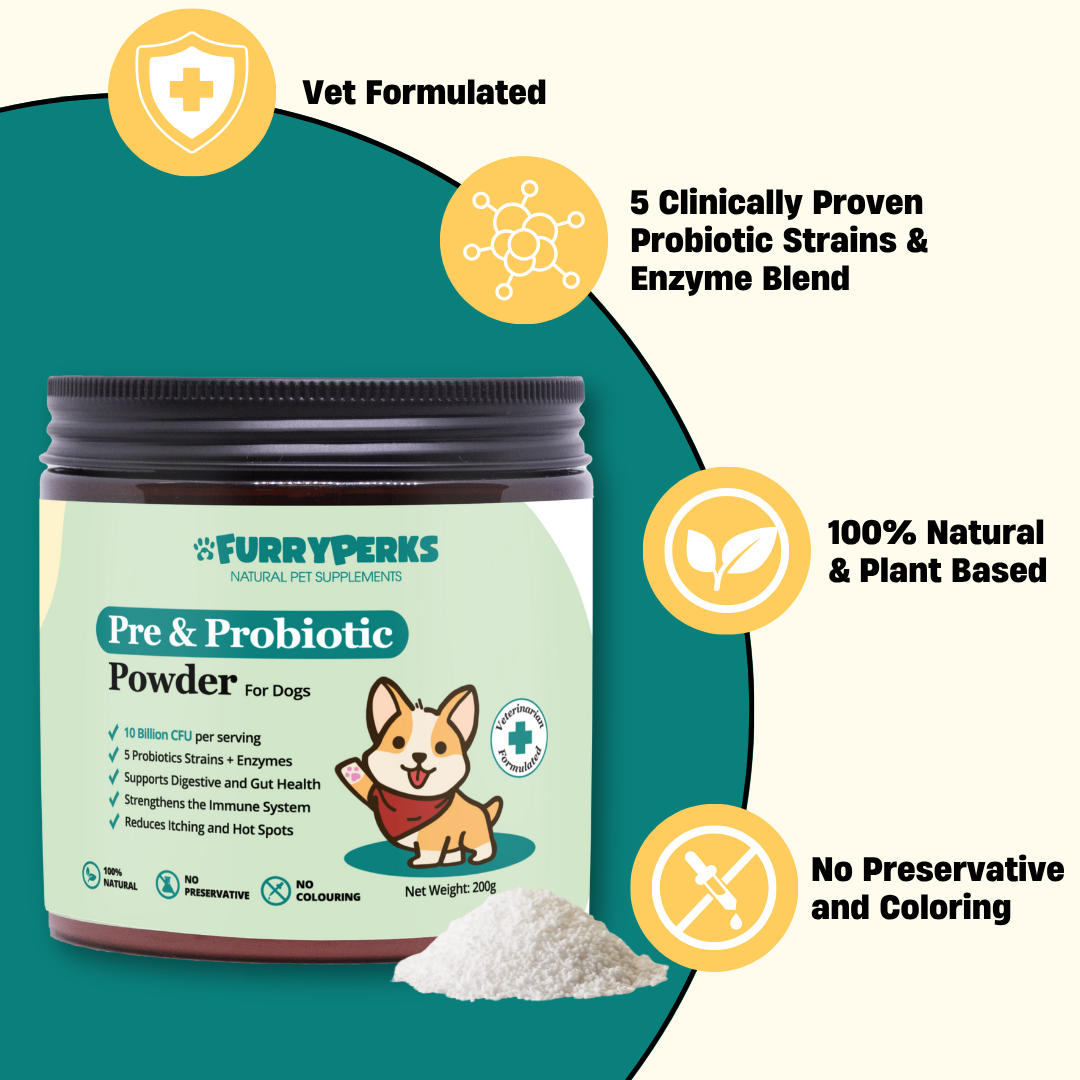 FURRYPERKS Pre & Probiotics with Digestive Enzymes for Dogs