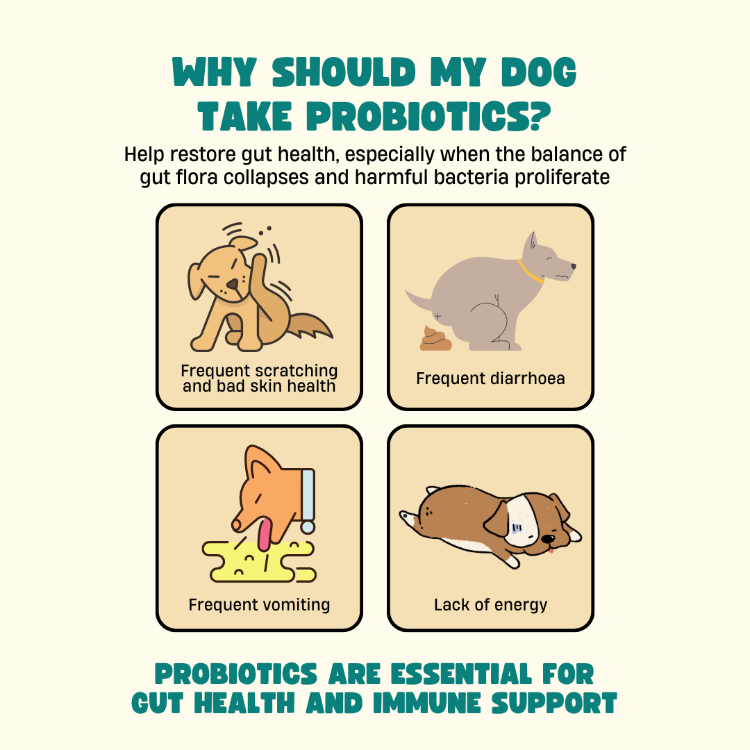 FURRYPERKS Pre & Probiotics with Digestive Enzymes for Dogs