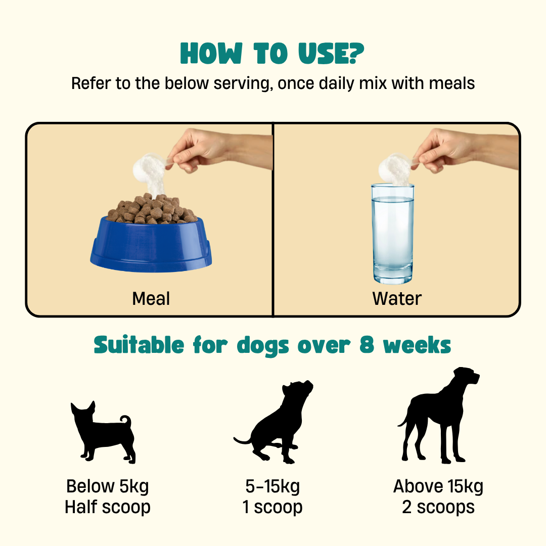 FURRYPERKS Pre & Probiotics with Digestive Enzymes for Dogs