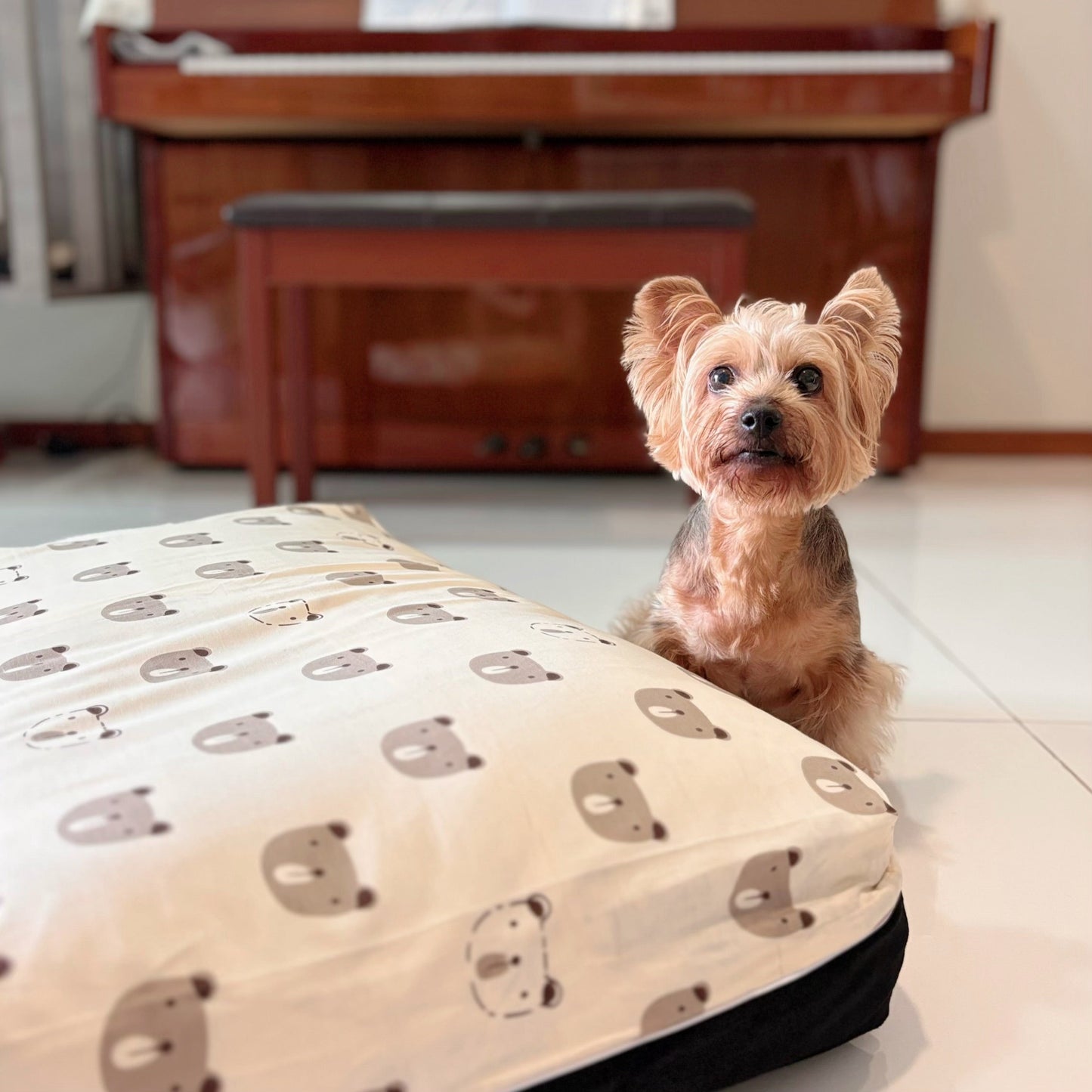 DreamCastle Cooling Dog Bed | For puppies to medium sized breed | Scandinavian Bear