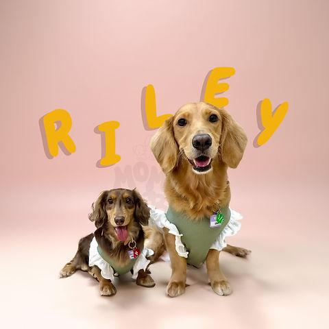 Momo Nobu - Riley Tank