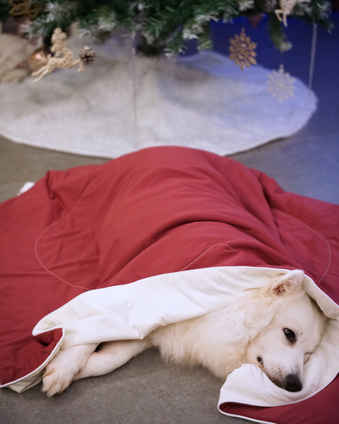 Fuji Haven Cloud Seasonal Blanket