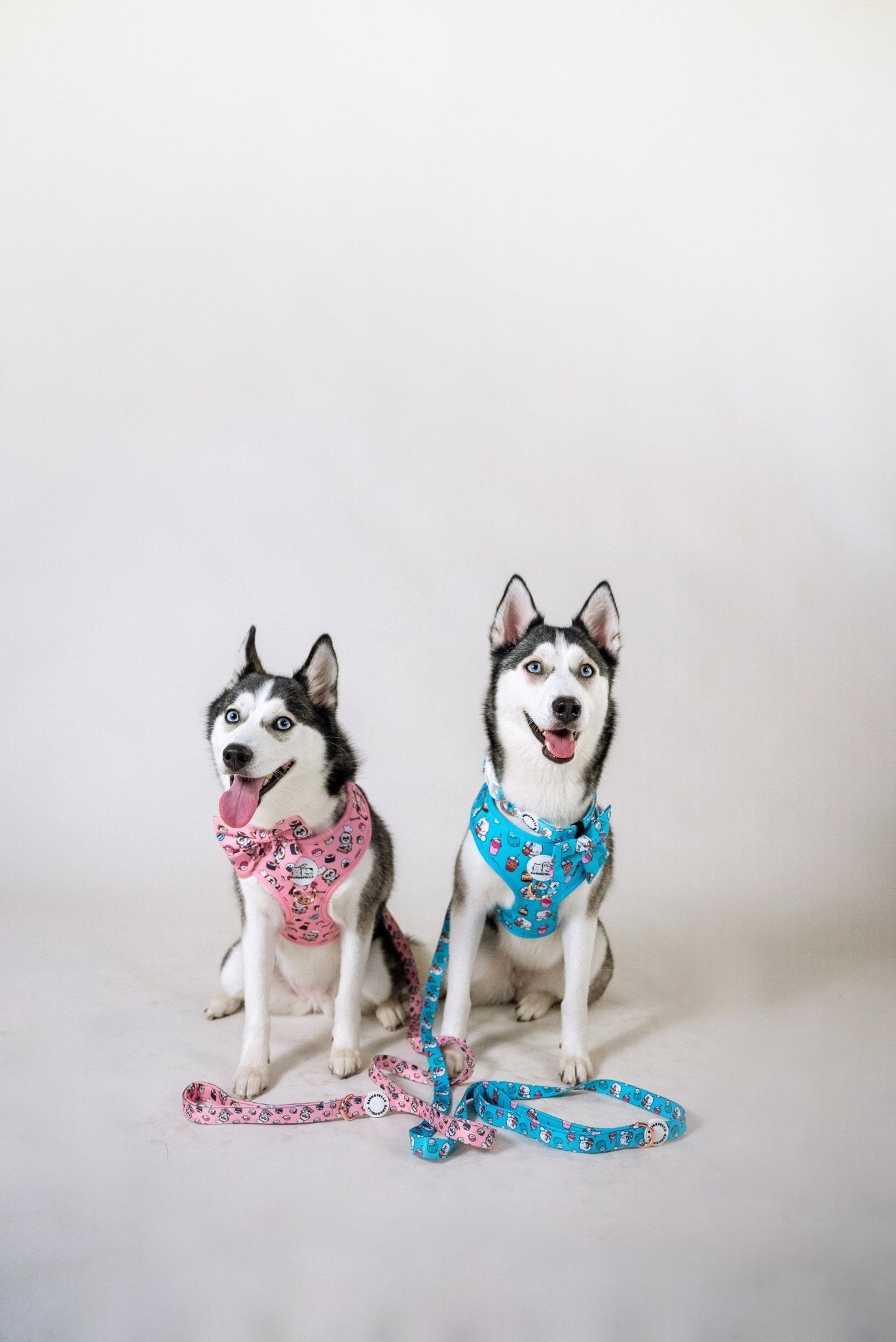 Adjustable Harness || Bubble Tea_Barkefella