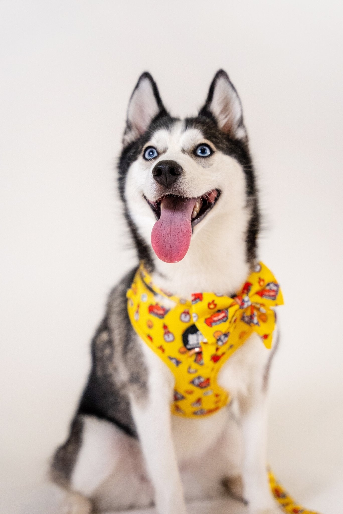 Adjustable Harness || Chilli Crab_Barkefella