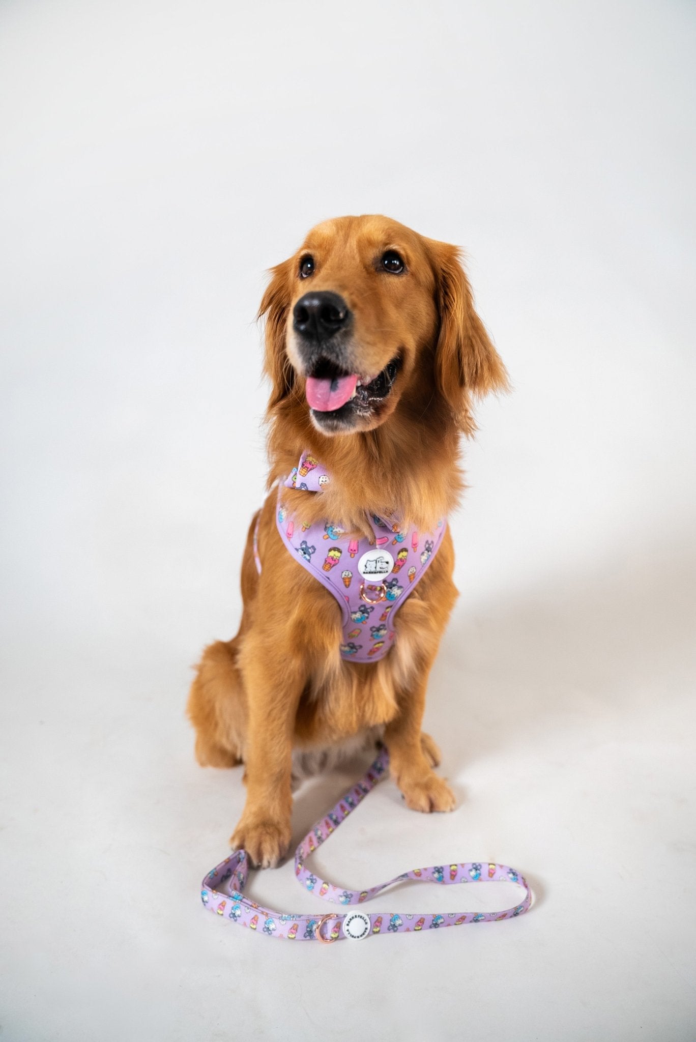 Adjustable Harness || Ice Cream_Barkefella