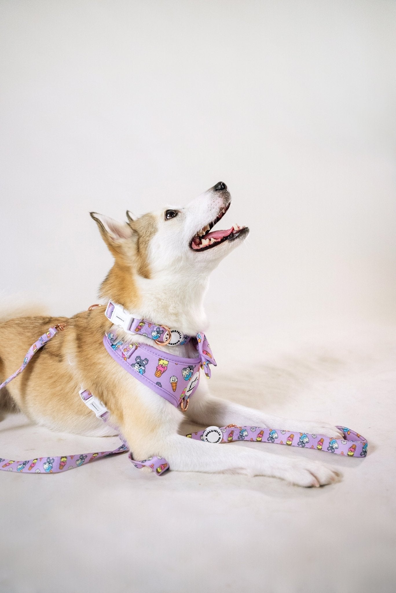 Adjustable Harness || Ice Cream_Barkefella