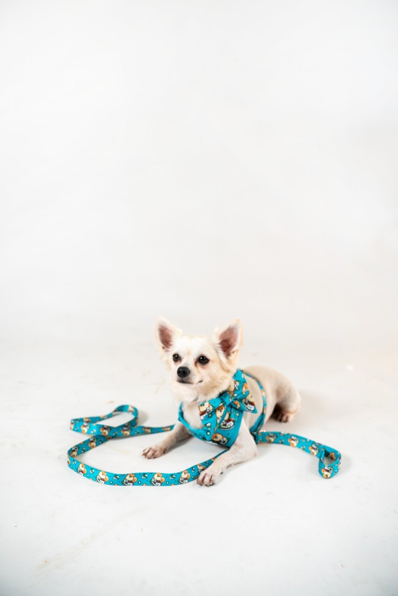 Adjustable Harness || Nasi Lemak_Barkefella