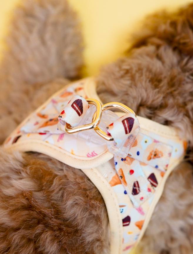 Coulette Collective - Cafe Club Easy Harness