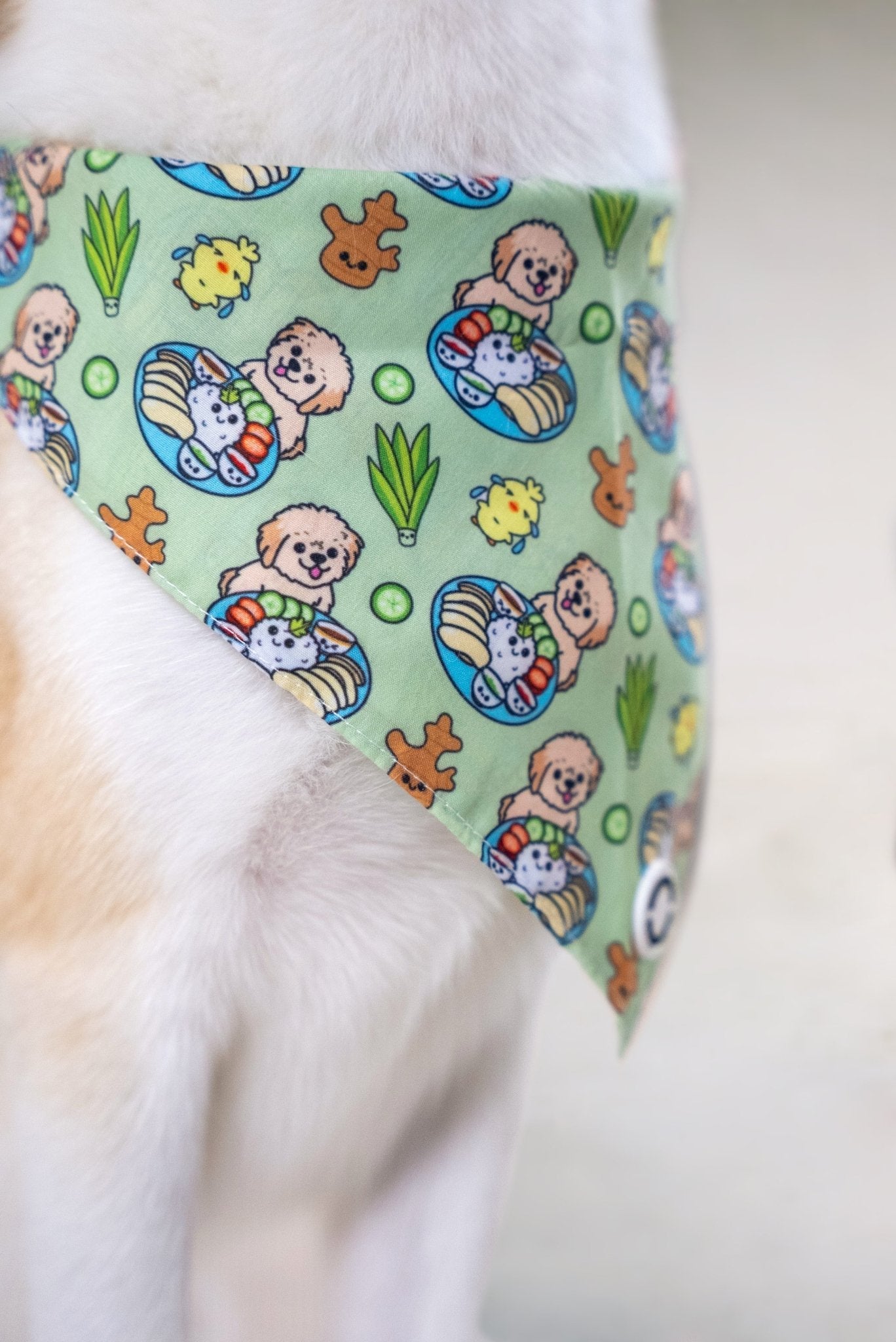 Bandanas || Hainanese Chicken Rice_Barkefella