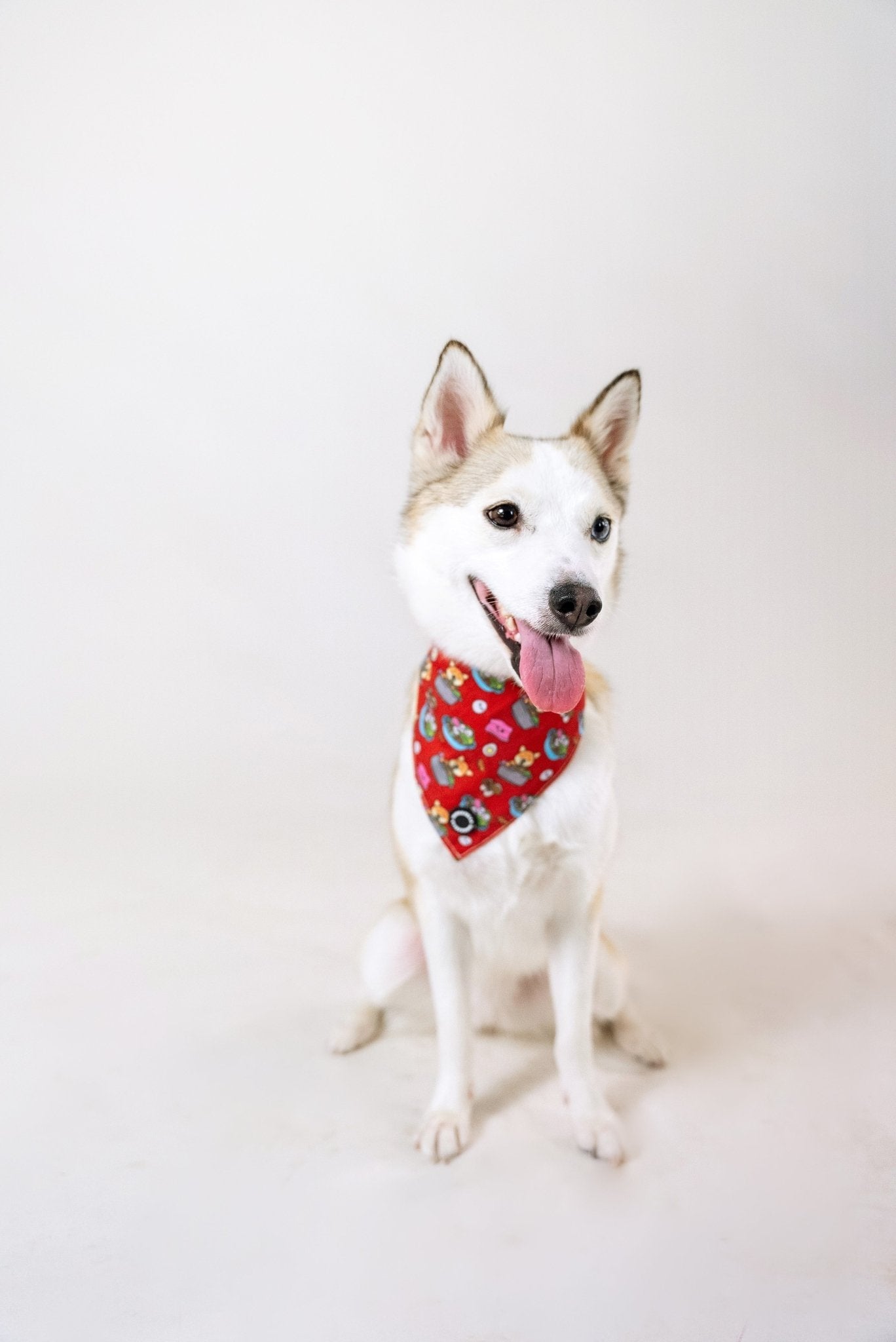 Bandanas || Steamboat_Barkefella