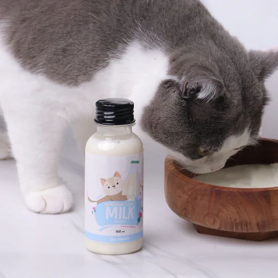 PetCubes Kefir Milk for Cats and Dogs