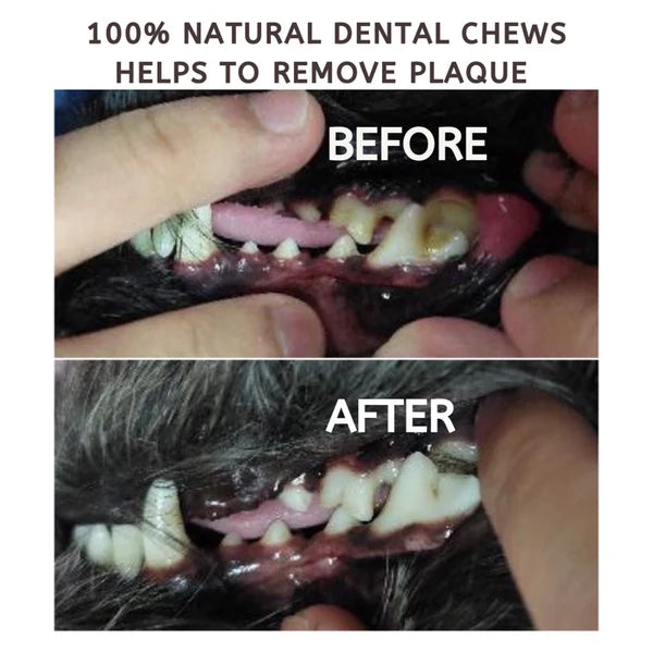 The Source-sage Club Air Dried New Zealand Beef Trachea (Windpipe) 1pc ~30cm