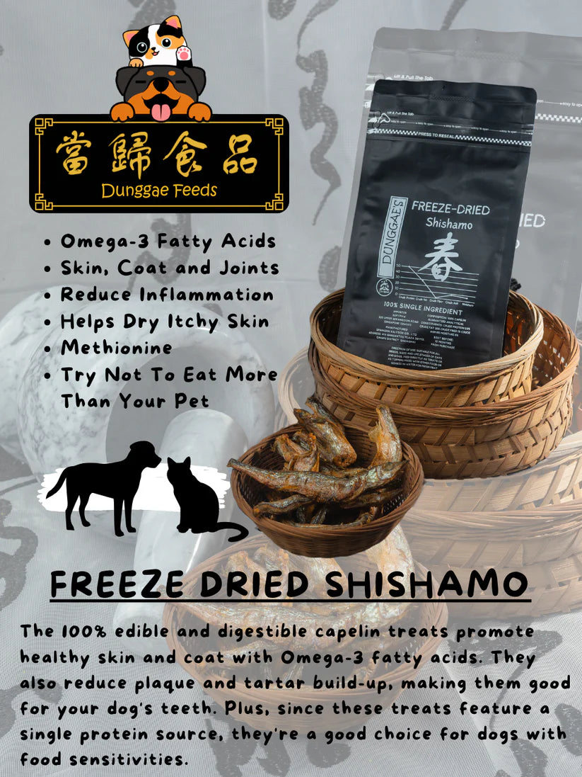 Dunggae's Freeze Dried Shishamo