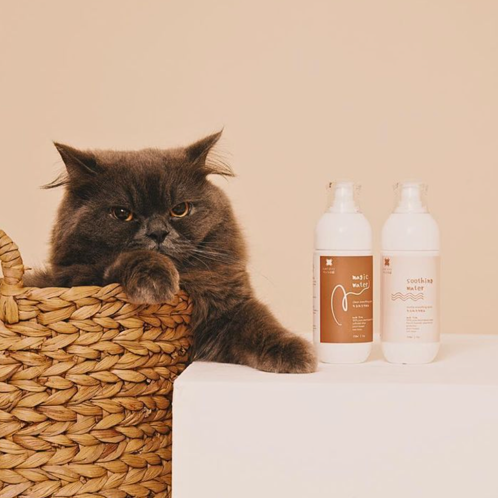A Pet Story - Duo Bundle : Magic and Soothing Water