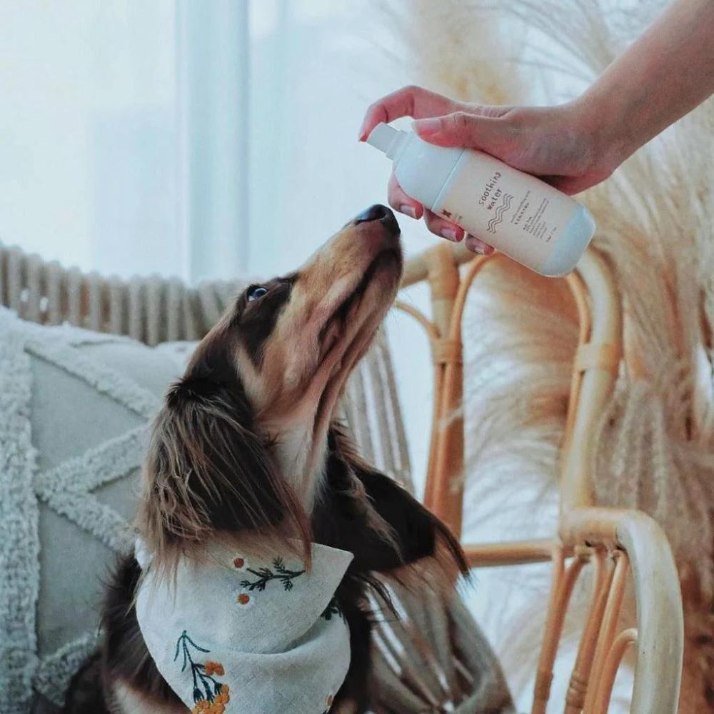 A Pet Story - Soothing Water Spray
