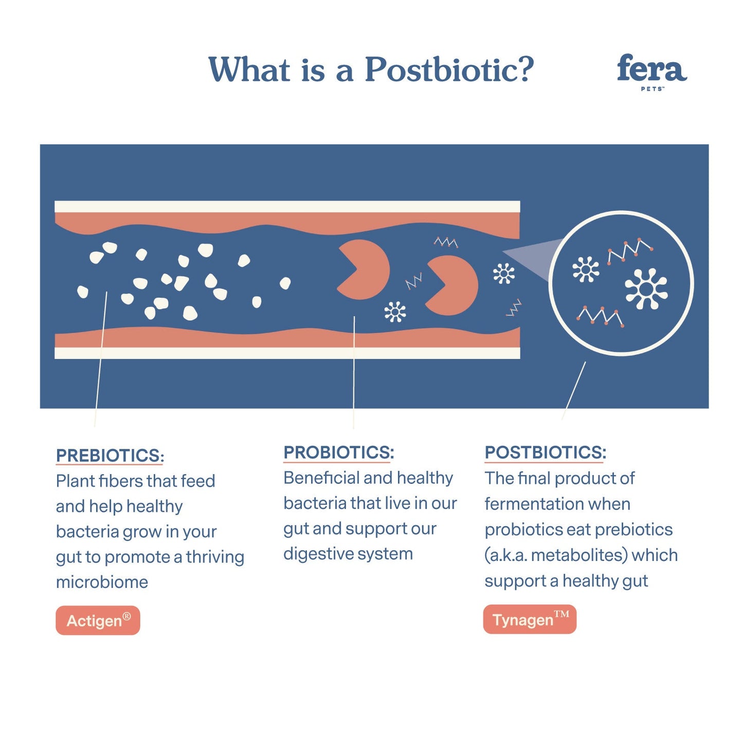 Fera Pet Organic Postbiotics Plus for Microbiome Support