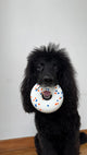 Outplay UltraFlex Donut Dog Toy