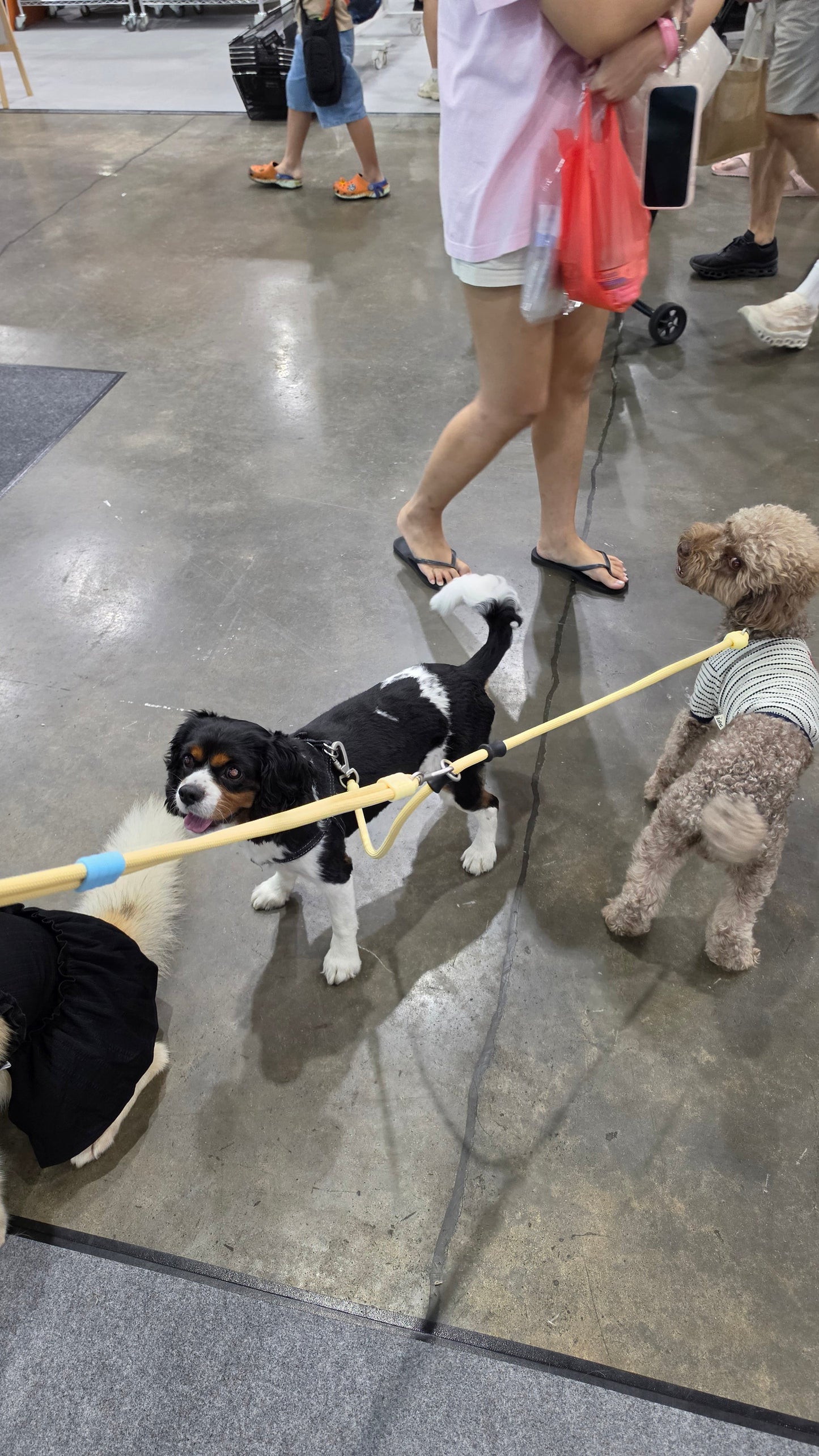 Outplay Multi-way Convertible Leash Extension
