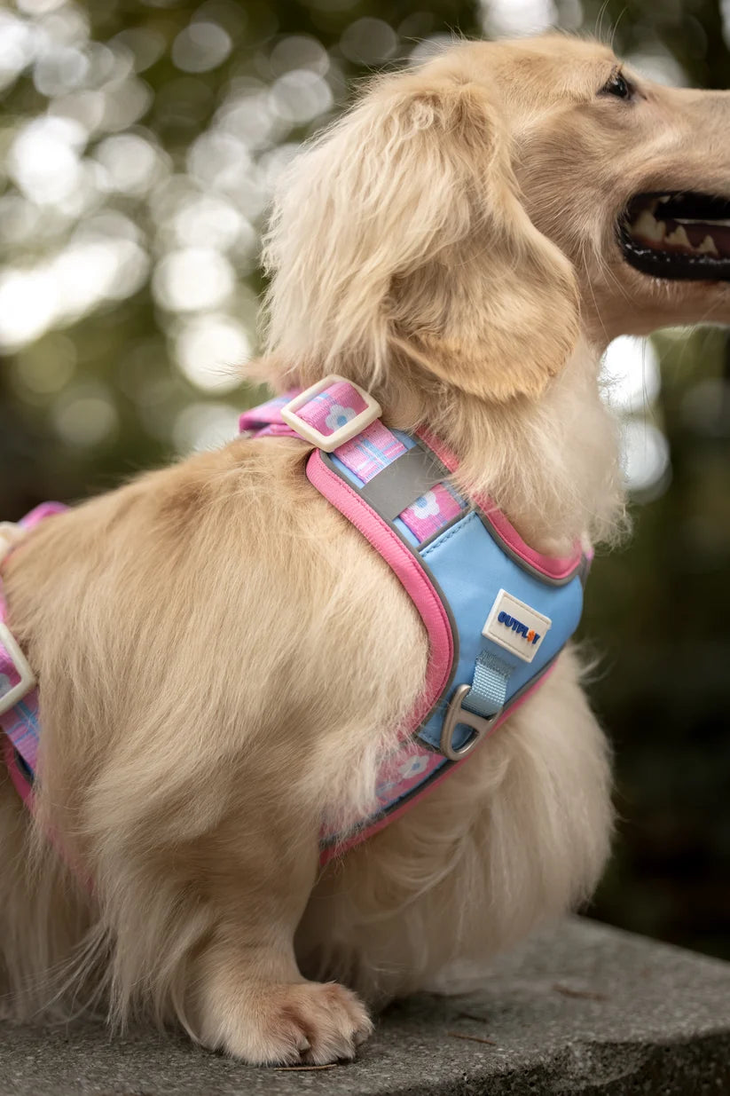 Outplay Align Harness