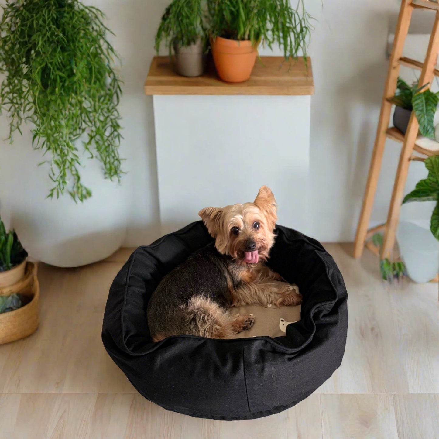 Dreamcastle Cooling Dog Bed For puppies Bear