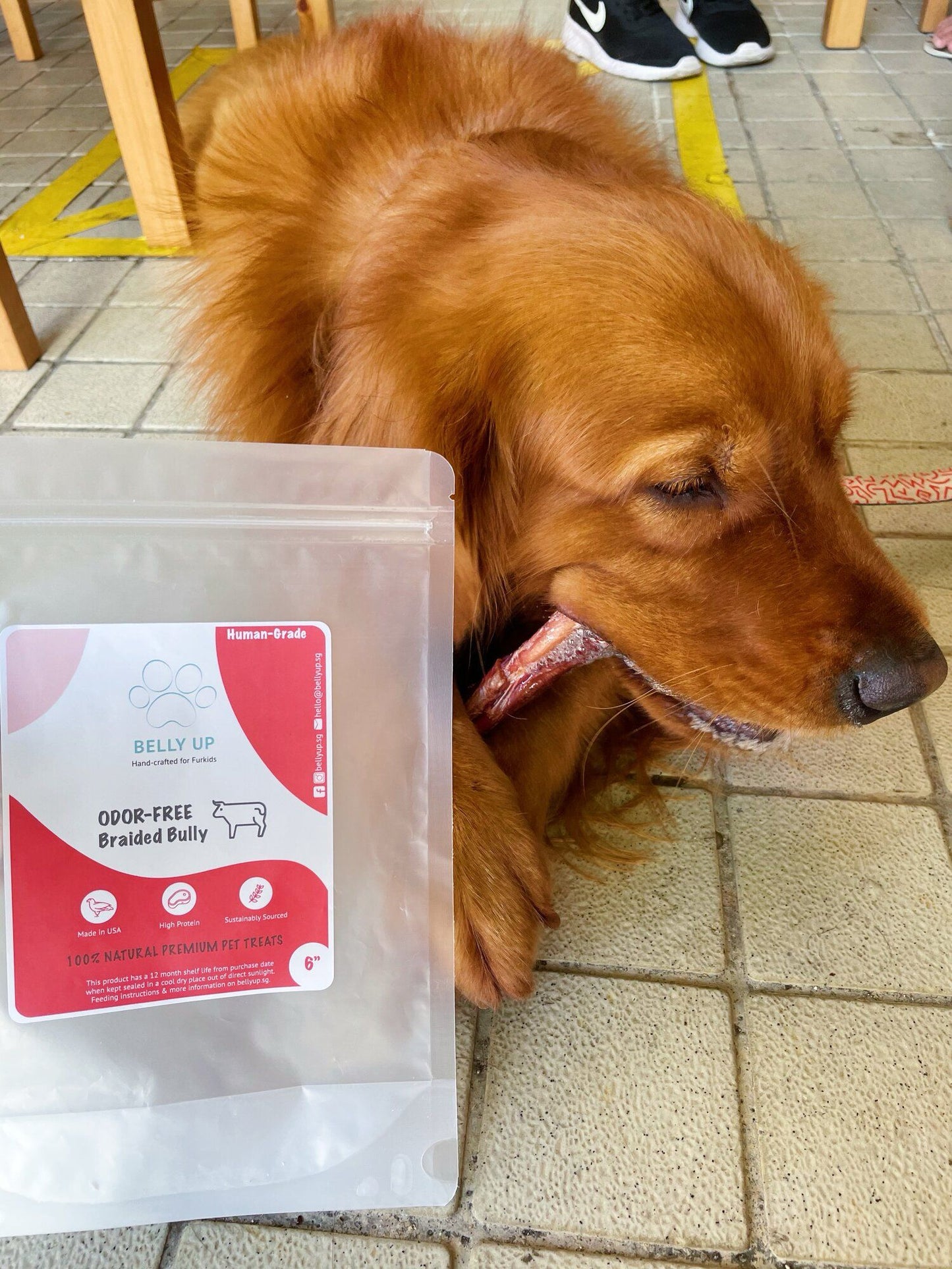 Belly Up - USA Odour-Free Braided BEEF BULLY