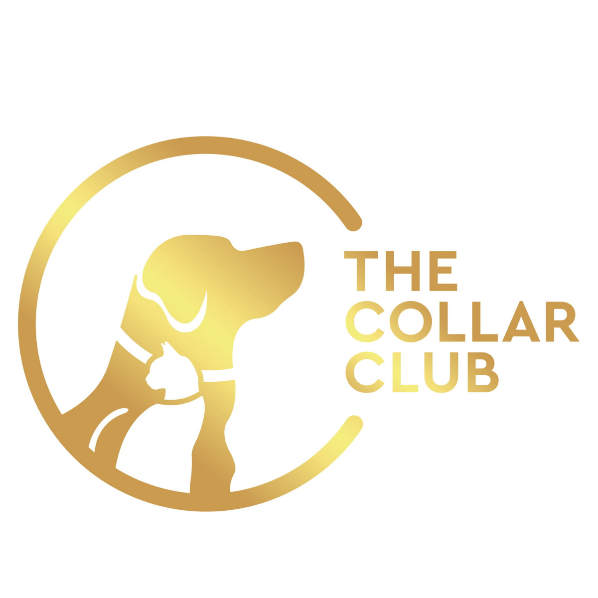The Collar Club Singapore