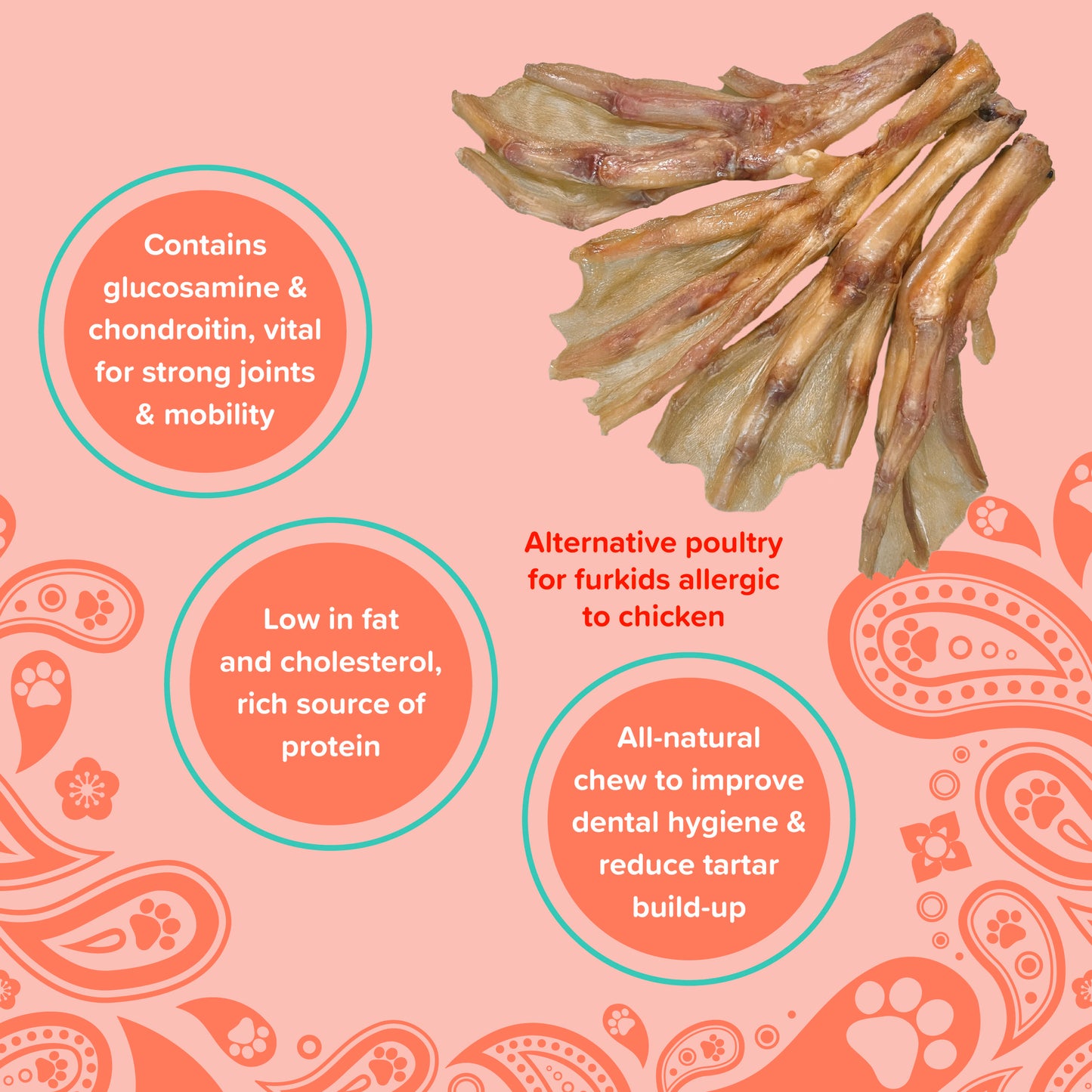 Furmily Duck Feet Treats