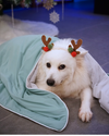 Fuji Haven Cloud Seasonal Blanket