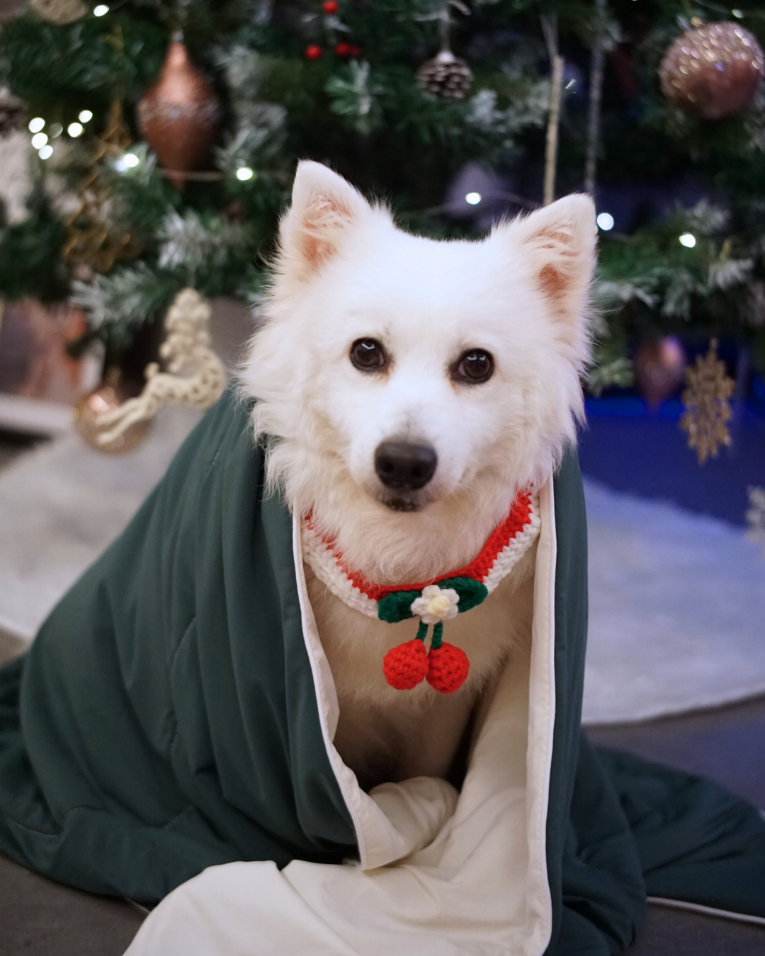 Fuji Haven Cloud Seasonal Blanket