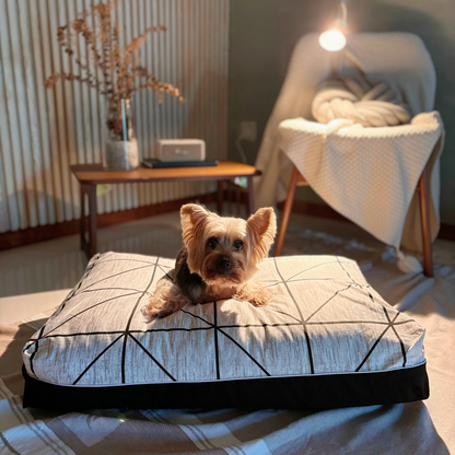 Bed time story for dog singapore