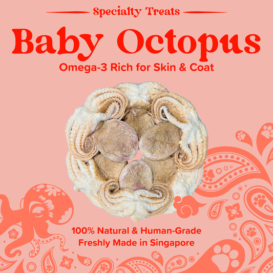 Furmily Baby Octopus Treats