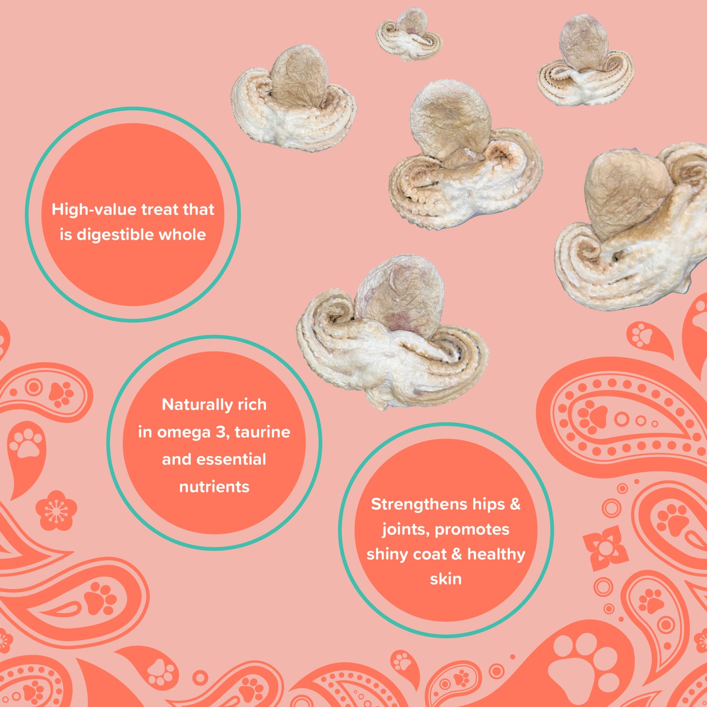 Furmily Baby Octopus Treats