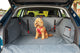 KONG Ultimate Cargo Liner & Tether - moki+