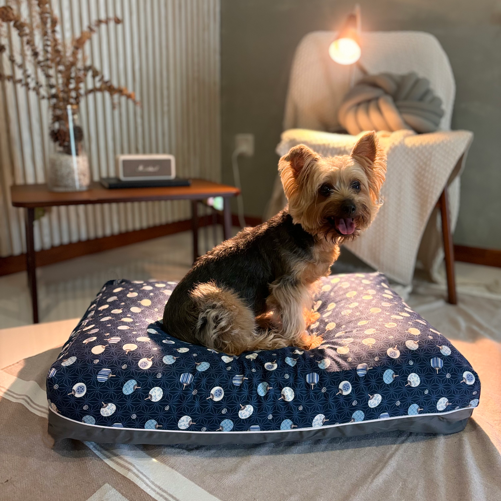 Modern Cheongsam Dreamcastle Cooling Dog Bed lifestyle 