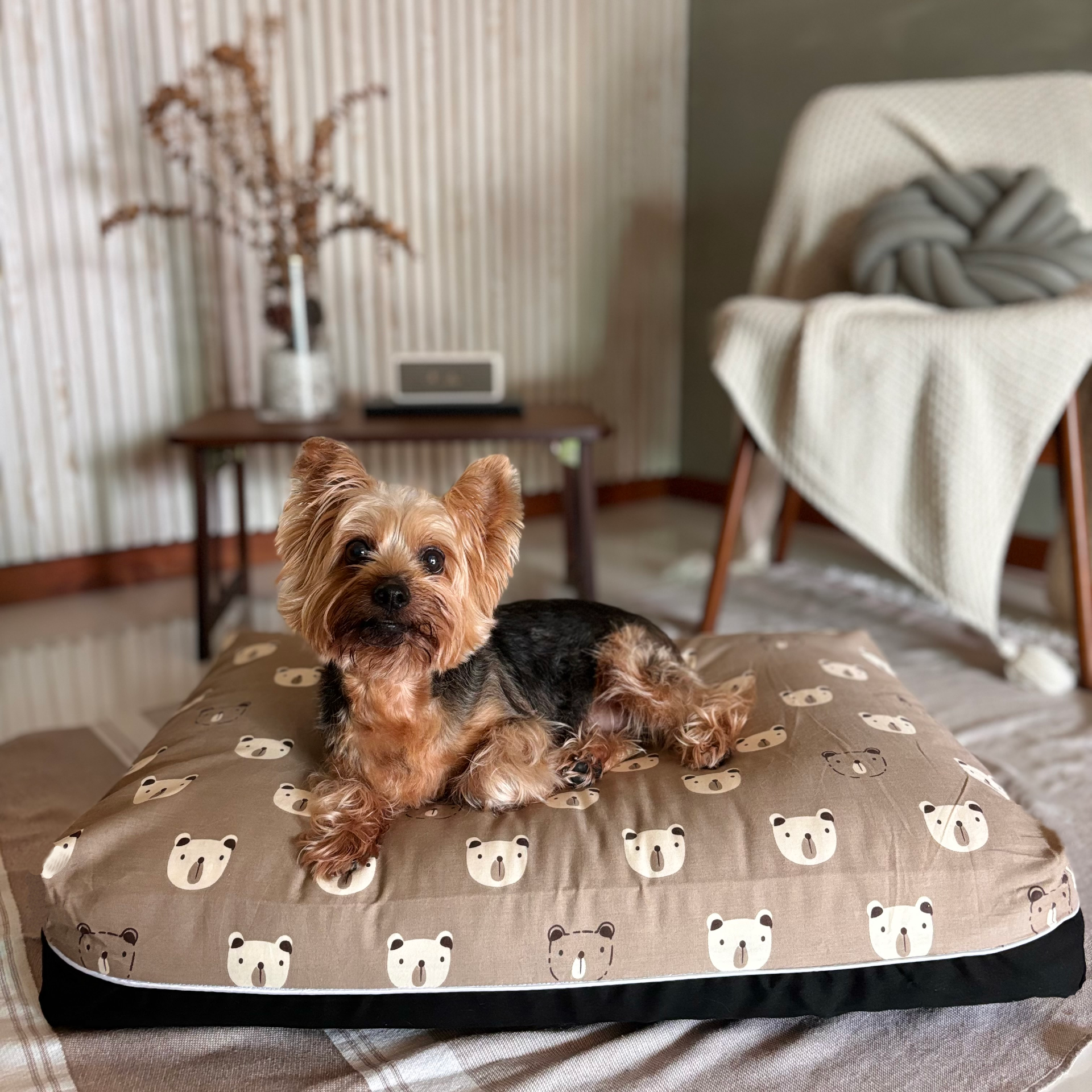 Nightingale Dreamcastledog bed