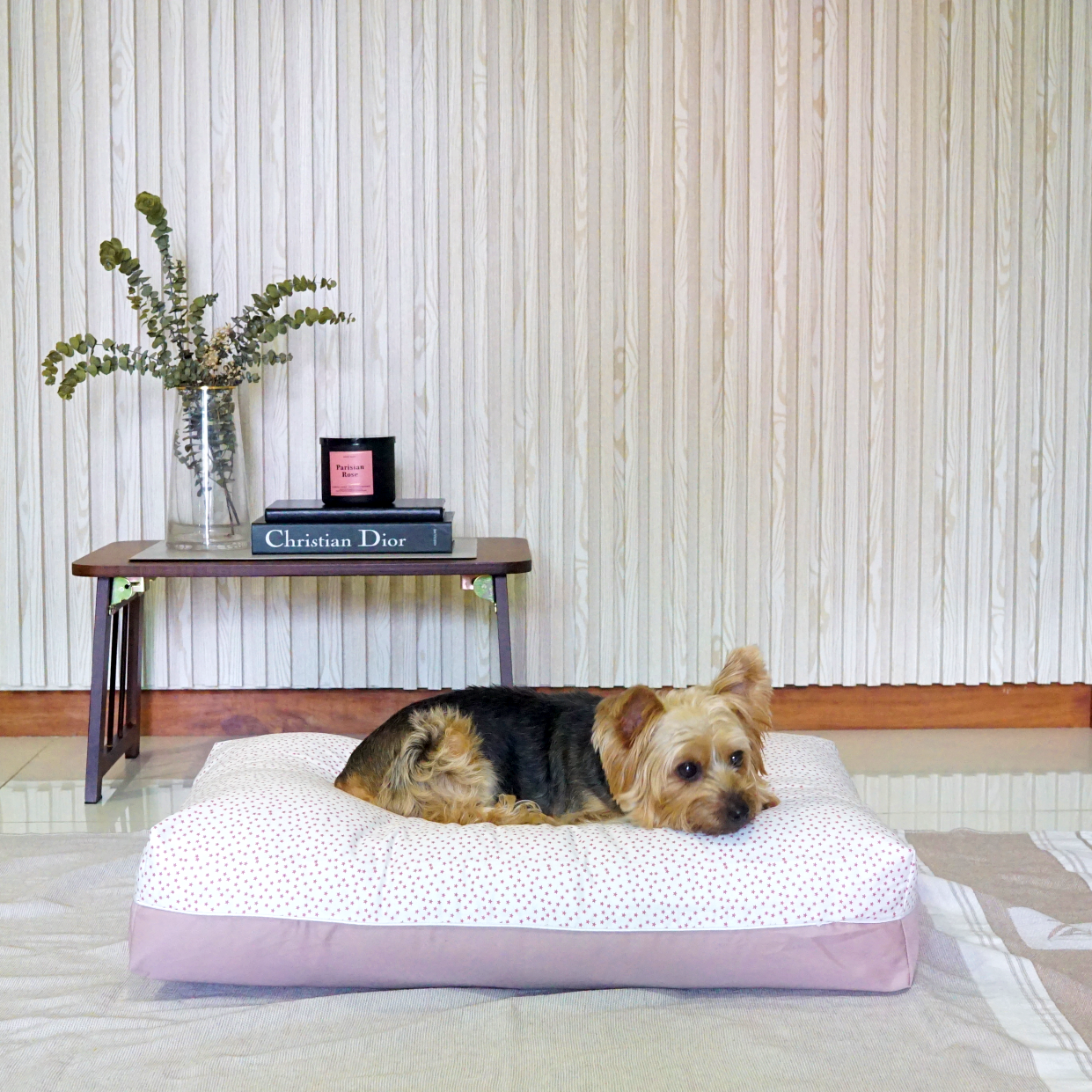 Allergy free dog bed cover singapore