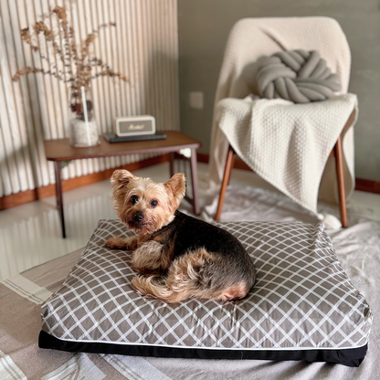 Rain Cooling dog bed singapore lifestyle image
